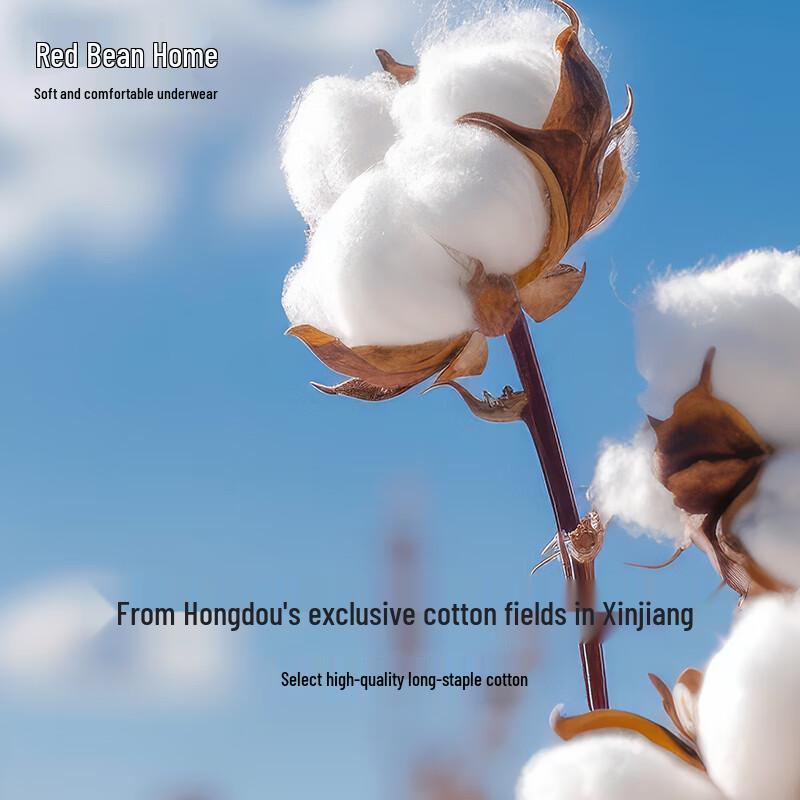 Red Bean Women's Antibacterial Cotton Spandex Briefs 3-Pack