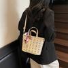 Premium Texture Small Bag Women's Spring and Summer Versatile 2025 New Messenger Bag Women's Niche Portable Bucket Bag