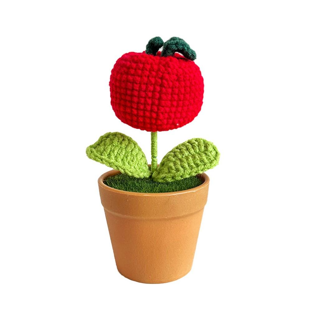 Decorative Wool Flowers Pot for Creating a Cozy Indoor Environment