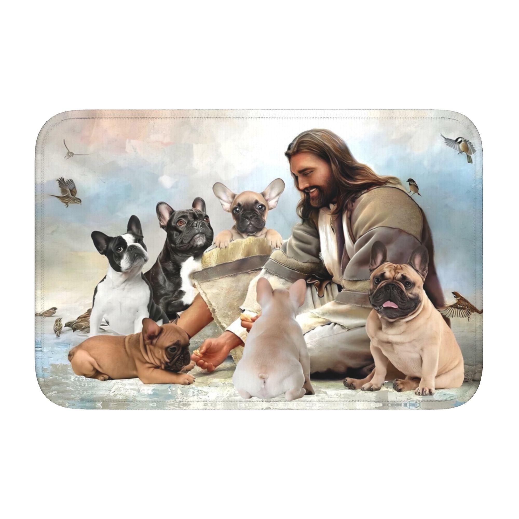 Tapis de porte personnalisé drôle Bouledogue Français Frenchies Antidérapant Tapis de sol Cuisine Salle de bain Chambre Balcon Entrée de porte Tapis Tapis 40cm x 60cm