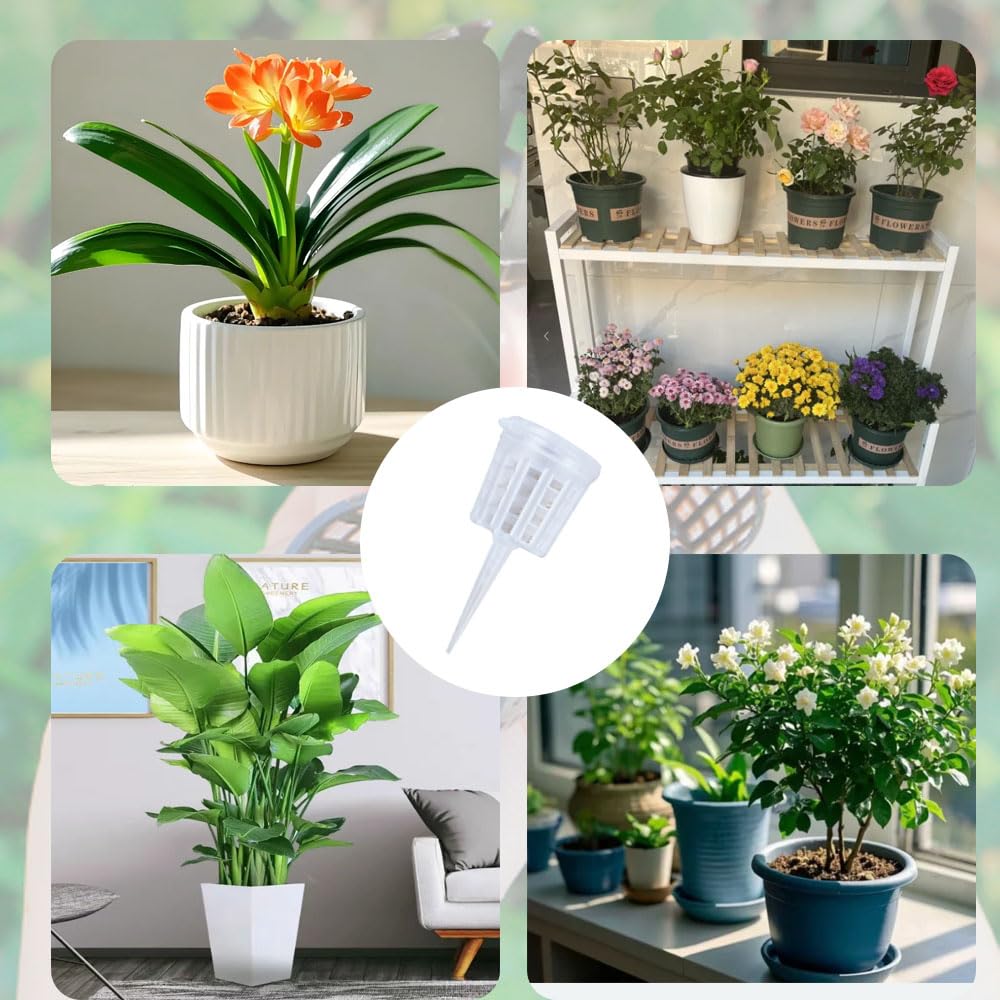 Set of 20 Fertilizer Fertilizer Gardening Cultivation Planting for Bonsai Containers, Boxes, Tools, Baskets, Safe, Non-Toxic, Reusable, Tools, Tools,