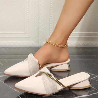 Sharp Pointed Sandals for Women 2025 New Summer Style Thick Heel Baotou Korean Version Low Heel Cool Slippers for Women