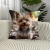1pc Adorable Yorkshire Terrier 45.72x45.72 Cm Pillow Cover - Soft Polyester, Zipper Closure, Machine Washable, Perfect for Living Room and Bedroom Dec