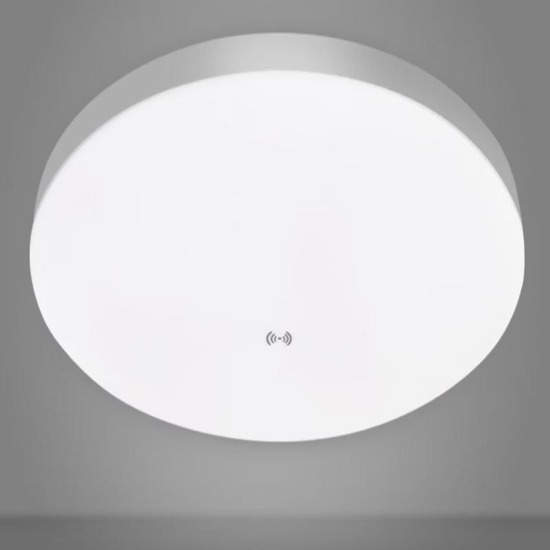 OEING Motion Sensor LED Ceiling Light (Pack of 2)