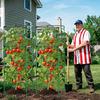 Plant Climbing Trellis for Tomatoes, Cucumbers, Beans - Durable Green Garden Support, Easy Assembly