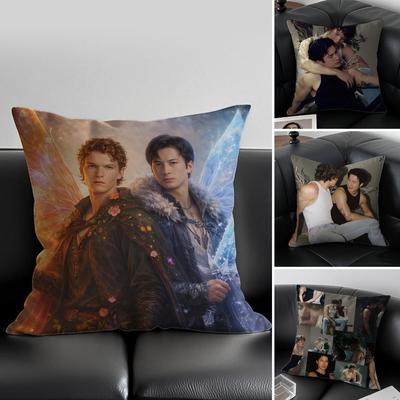 Schöne EEmber und IIce TV CP Cushion Abdeckung Kissenbezug Milbenschutz Unsichtbarer Reißverschluss seidiger Plüsch Kissen