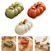 Salad Plate with Lid Decor Multipurpose Ceramic Dessert Plate Dinner Plate Serving Platter for Home Cafe Wedding Kitchen Snack