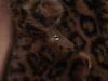 2024 Autumn Women's European & American Style Leopard Print Faux Leather & Fur Jacket