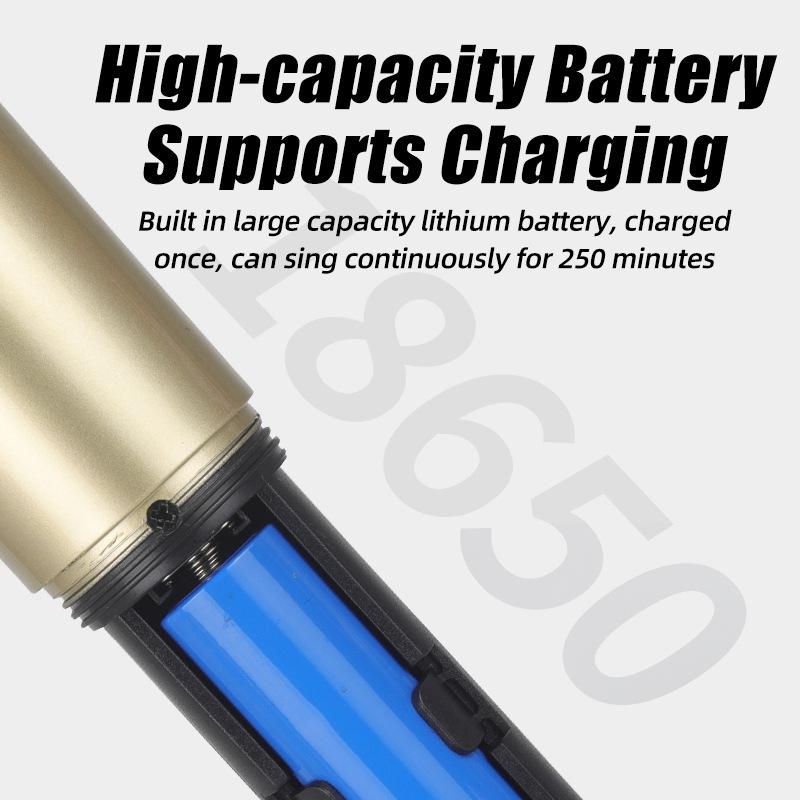 Rechargeable Wireless Microphone with Battery Display for Home KTV and Stage Live Streaming, Model One-to-Two Handheld.