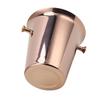 Ice Bucket with Handles Stainless Steel Beer Wine Beverage Cooling Tub for Home Bar 5L Capacity