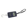 Large LCD Display Electronic Suspension Scale, 40Kg/10g Capacity Portable with Hook for Luggage