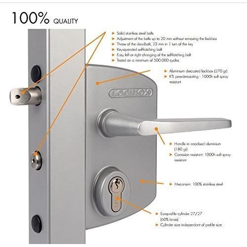 LOCINOX Serrure type industriel pour profils carrés de 60 à 80 mm en RAL 9005 avec 3006M