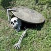 Halloween Scary Props Realistic Skeleton Head Human Hands Arms for Home Garden Haunted House Party Decor