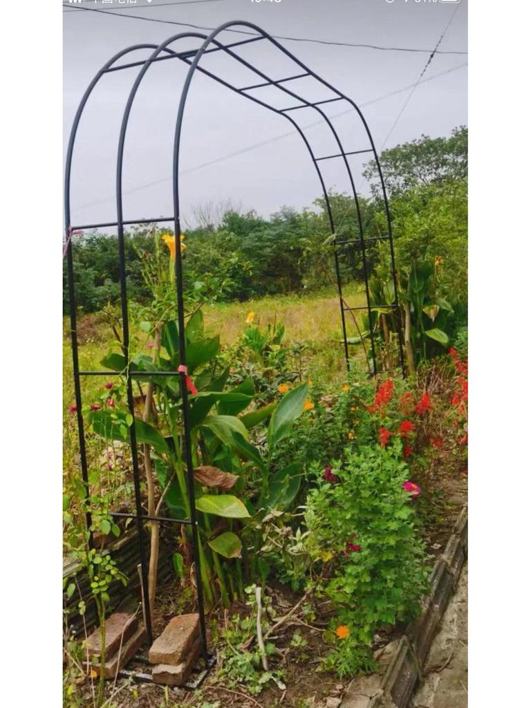 Rust-Proof Arch Trellis: Reinforced Climbing Vine Stand for Indoor/Outdoor Gardens and Courtyards.