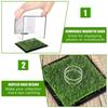 Lawn Design Golf Ball Display Case Transparent Golf Ball Acrylic Box  Golf Supplies