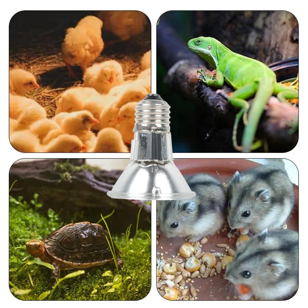 Full Spectrum Led Reptile Lamp E27 Base Glass Bulb Pet Heating Bulb Dimmable 25/50/75/100W UVA Light Bulb Pet Amphibians