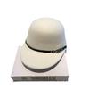 Autumn and winter British retro leather buckle decorative woolen equestrian hat, socialite outdoor temperament age-reducing versatile felt basin hat