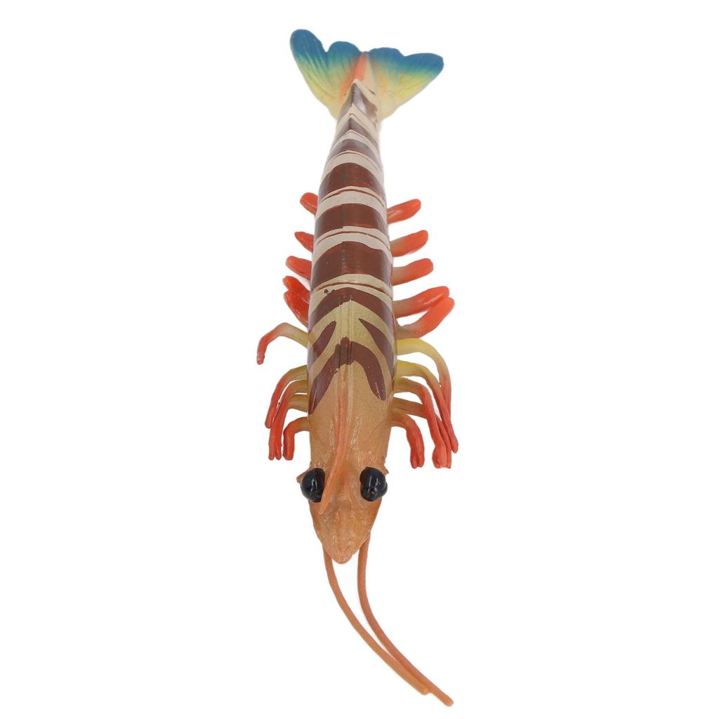 Marine Prawn Animal Model Early Learning Educational Vivid Simulation Home Decoration Sea Animal