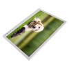 Digital Picture Frame 15 Inch 1080P HD Multifunctional Wireless Electronic Photo Frame with Remote Control for Home