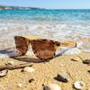 Modern Wooden Polarized Sunglasses UV400 Protection Handmade Sunglasses A Perfect Gift for Men Women [WOODONLY] - - & (Tortoiseshell + Zebrawood)