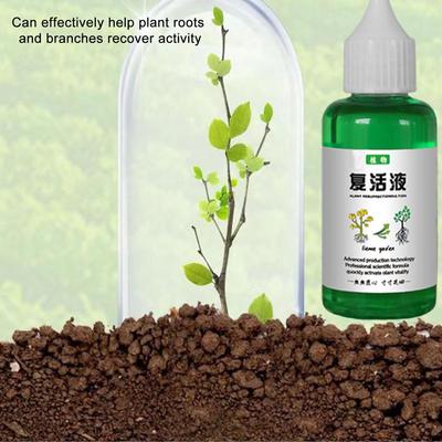 50ml Pflanzenrevitalisierer Wiederbelebungsflüssigkeit Düngende Flüssigkeit Konzentrat Düngende Flüssigkeit Konzentrat Pflanze Fördert Wachstum