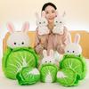 Creative Rabbit Cabbage Plush Toy Doll Cartoon Cute Rabbit Pillow Doll Children's Gift