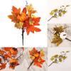 Maple Leaves Branch Maple Party Practical Brand New