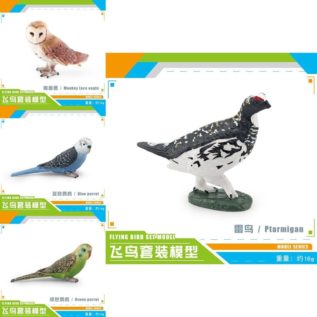 Exquisite Realistic Bird Models In Pvc Material Showcasing Colorful Parrots Owls And Songbirds