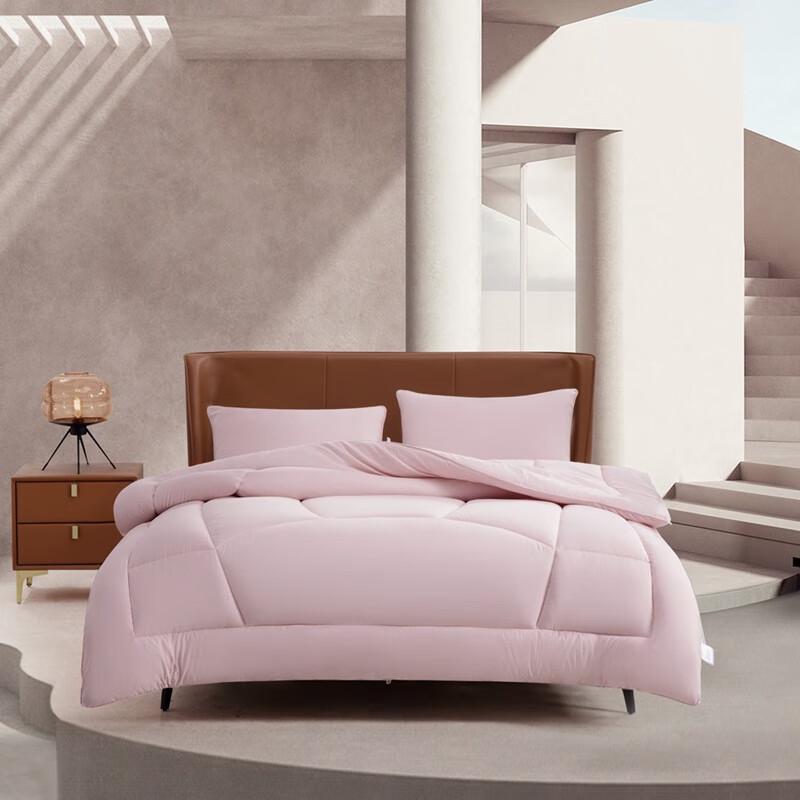 

Mercury Home Textiles 7-Hole Antibacterial Quilt Core