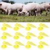 20 Set Livestock Identification Blank Ear Tag for Goats Sheep Cattle Cows Pigs Farm SuppliesS: