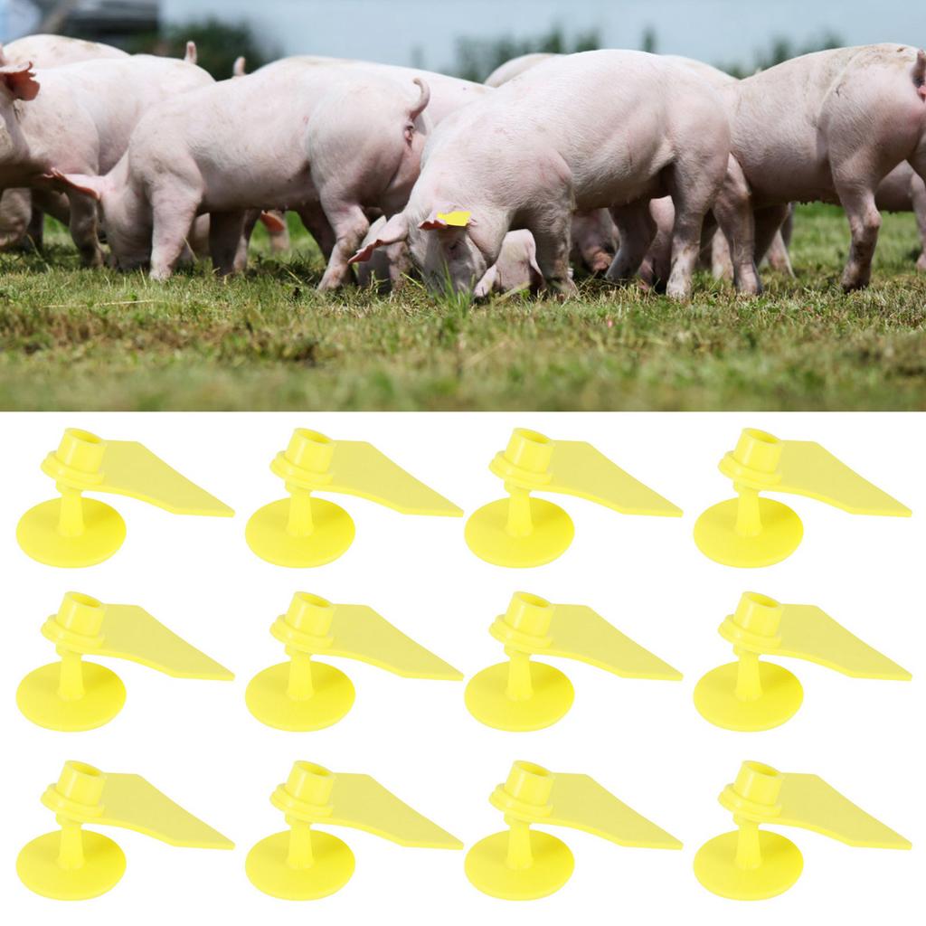 20 Set Livestock Identification Blank Ear Tag for Goats Sheep Cattle Cows Pigs Farm SuppliesS: