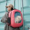 EVA Pet Cat Carrying Bag Space Capsule Backpacks Breathable Portable Transparent Double Shoulder Large Bags for Cats Dogs