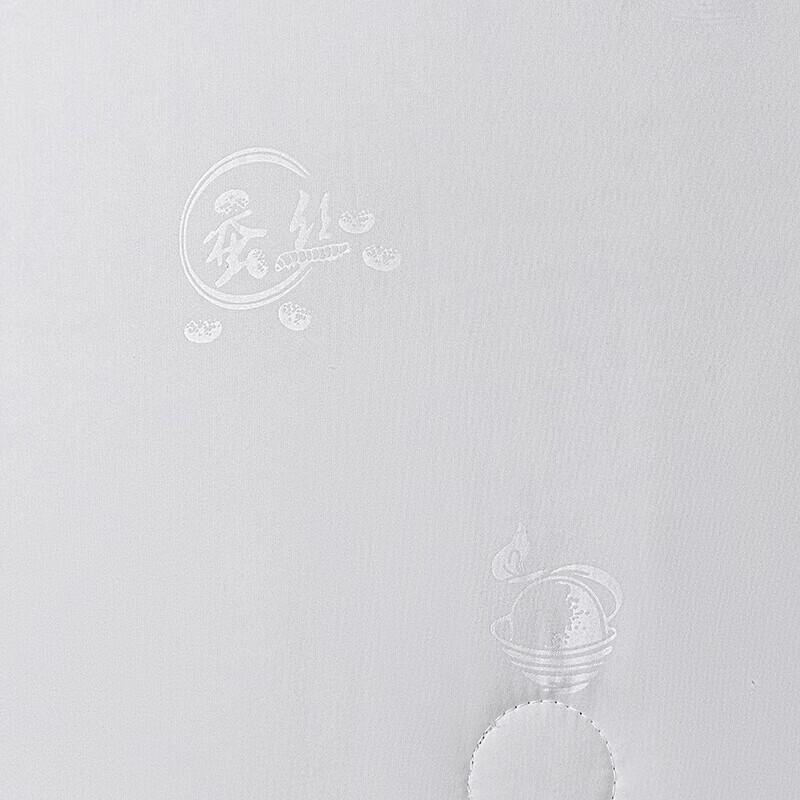 Softnie Lanyue Series Mulberry Silk Quilt