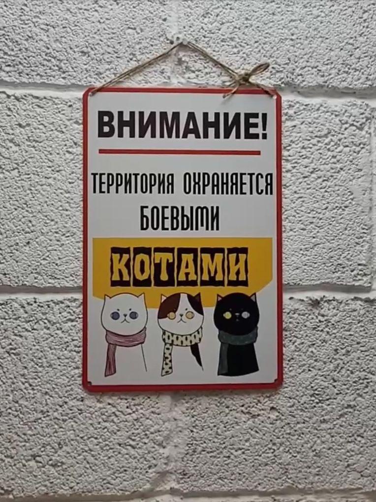 

Vintage Metal Sign Warning Attention Area Guarded by Combat Cats 20x30 cm