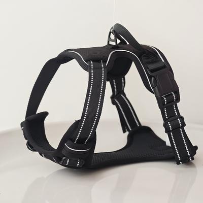 Perros – Collares y correas