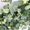 American Spring 180Cm Encryption Simulation Eucalyptus Vine Green Eucalyptus Leaf Vine Vine Butterfly Vine