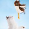 Flapping Bird Sparrow Cat Toy Interactive USB Rechargeable Flying Bird Cat Touch-Activated Vivid Chirping