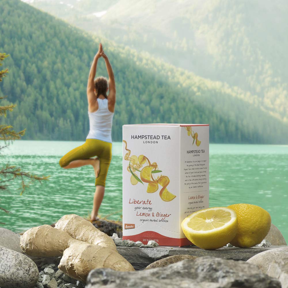 Hampstead Organic Herbal Tea Assortment 4 types Hibiscus Lemon Ginger Peppermint Spearmint Chamomile 1 piece [Set product] (Rosehip & & & each)