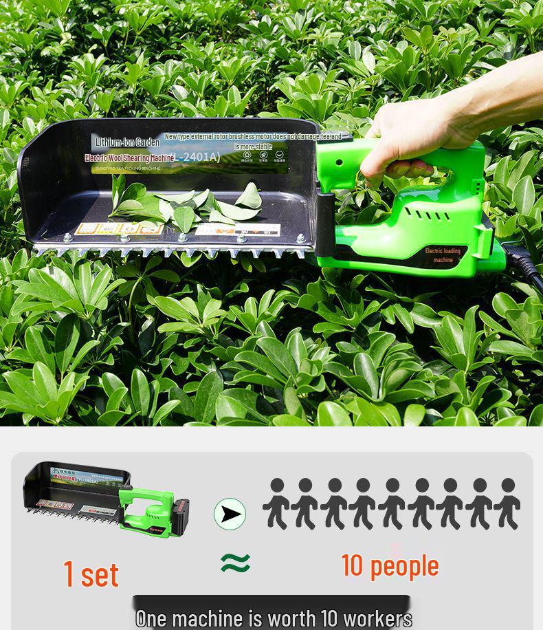 Rechargeable Brushless Tea Leaf Picker & Small Hedge Trimmer with New Lithium Battery.