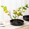 Large Flower Arrangement Tray Japanese Style Plastic Flower Tray Flower Container  Garden Courtyard