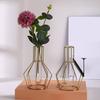Nordic Simple Glass Clear Vase with Iron Art Frame for Hydroponic Planter Transparent Test Tube Pot Decorative Metal Flower Vase for Table