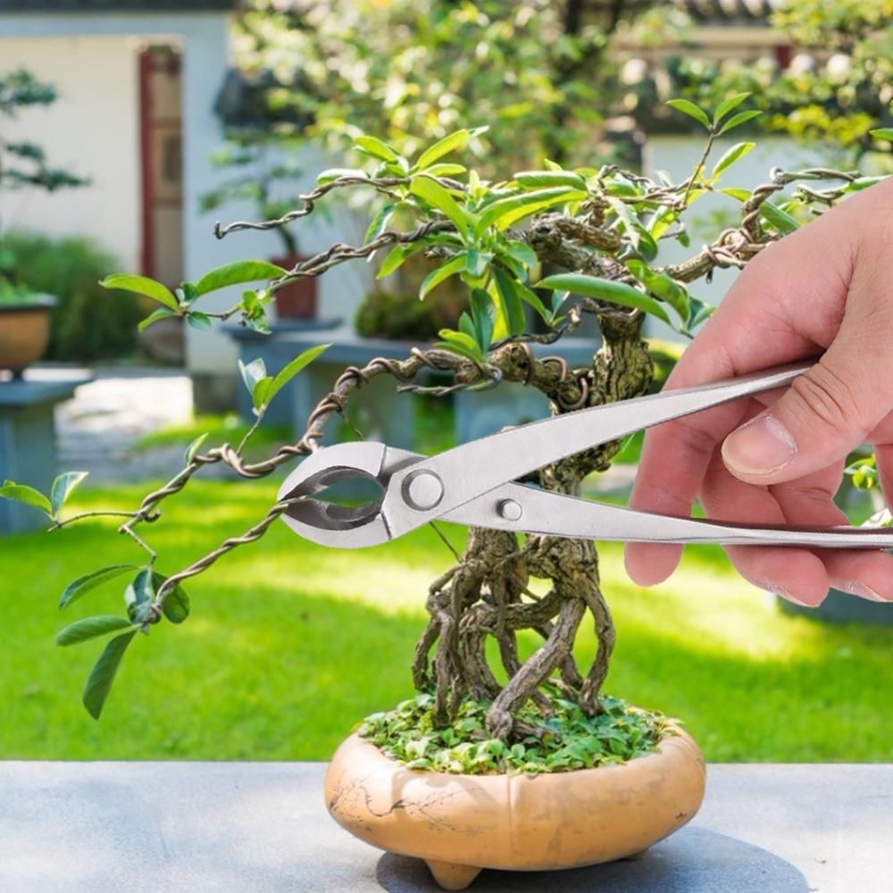 Ergonomic Handle Branch Cutter Siliver Bonsai Scissors Professional Concave Cutter
