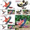 Wildlife Animal Model Solid Plastic Parrot Bird Display Figure For Kids Playroom Decor