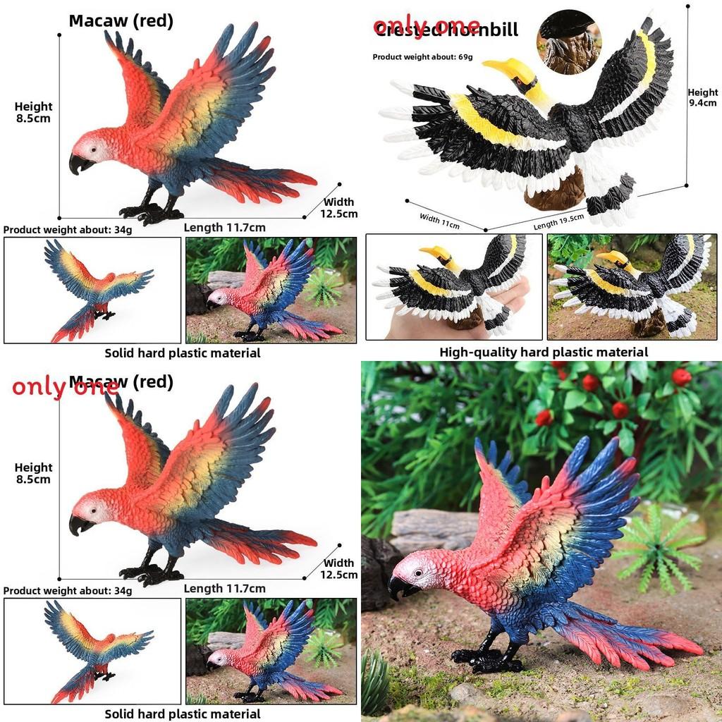 Wildlife Animal Model Solid Plastic Parrot Bird Display Figure For Kids Playroom Decor