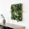 Fuji Boeki Framed Wall Greenery 55cm Fern 63907
