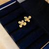Silver Needle Cross-Border Tassel Earrings: Women's Versatile, Stylish Studs with a Unique, Trendy Design.