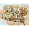 Natural Noreena Jasper Matched pair Oval Cabochon Loose Gemstone 06Pair Lot C-3404