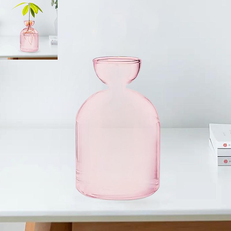 Barevná průhledná hydroponická váza na avokádo skleněná váza pro klíčení semínek avokáda sada pro pěstování semínek rostlin pro milovníky zahradničení domácí dekorace