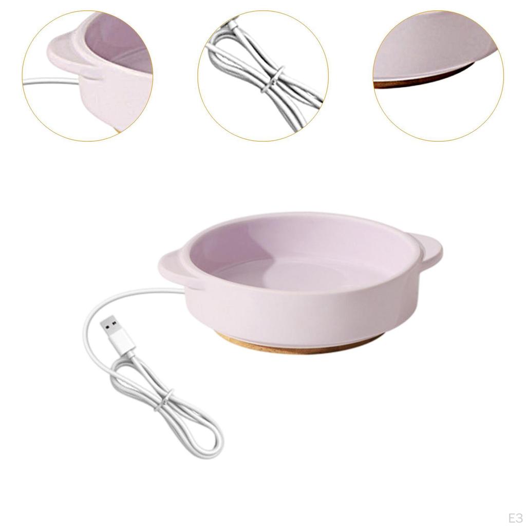 Pet Heated Bowl Ceramic Waterer Elevated Cat Dog Feeding for Winter