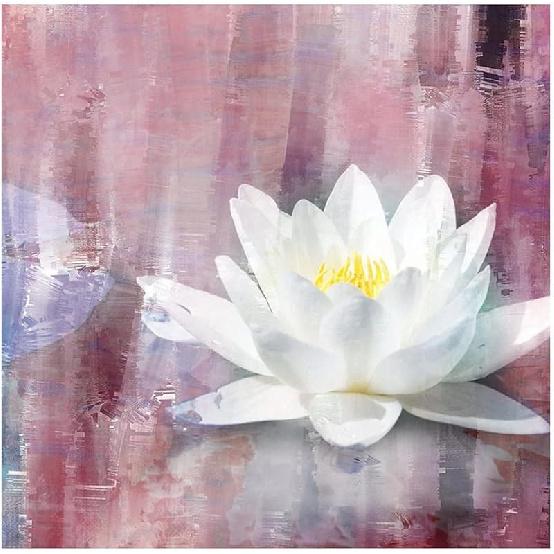 

White Lotus Flower Wall Decals Stickers Modern Floral Blossom Painting Wall Decals Vinyl Mural Decals Quotes for Classroom Laptop Home Decorations 18 Inch